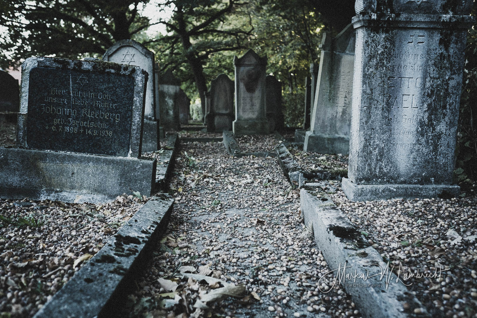 Vörden (Marienmünster), Jüdischer Friedhof